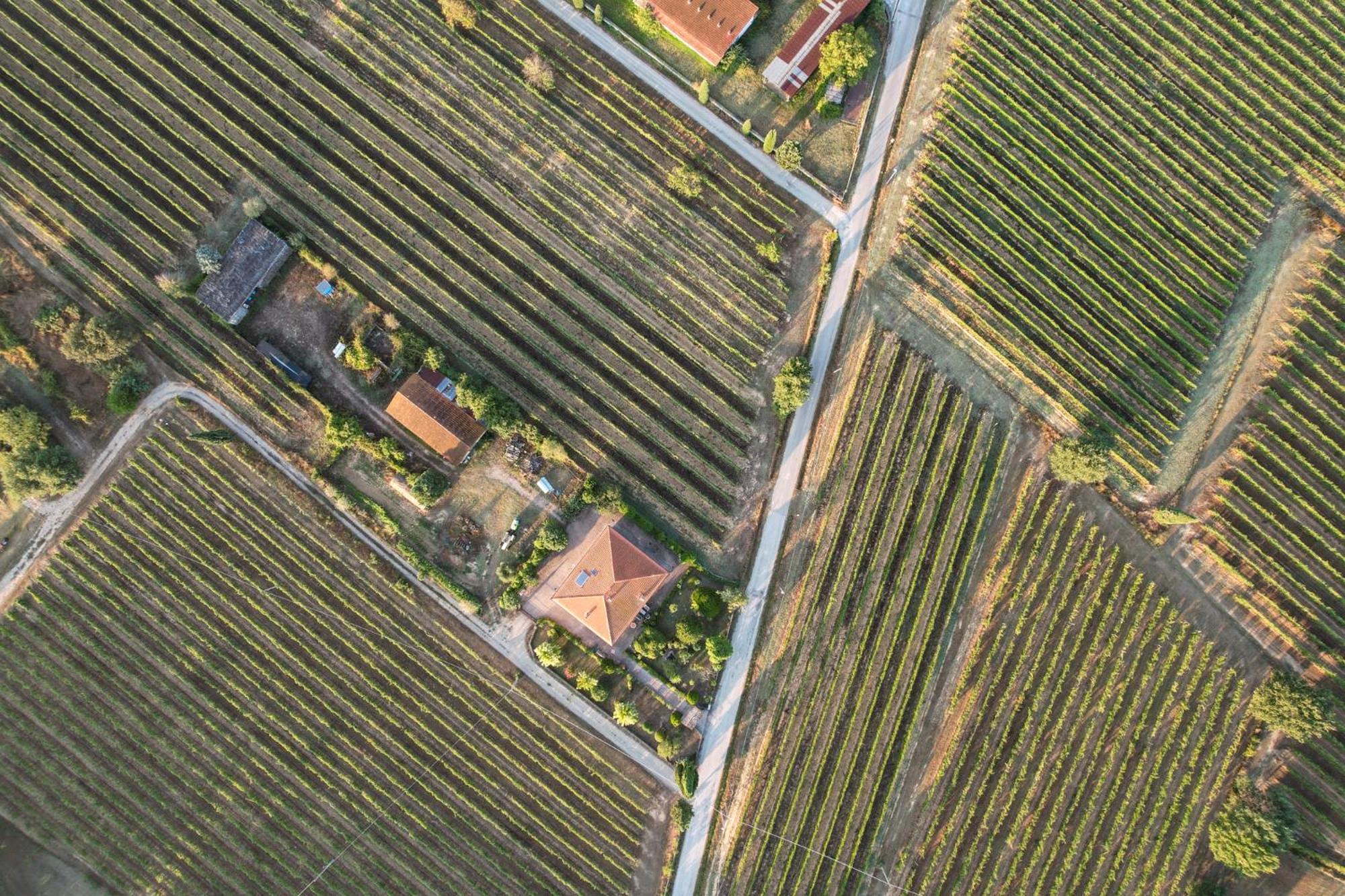 Cappannelle Country House Tuscany Castiglion Fibocchi Esterno foto