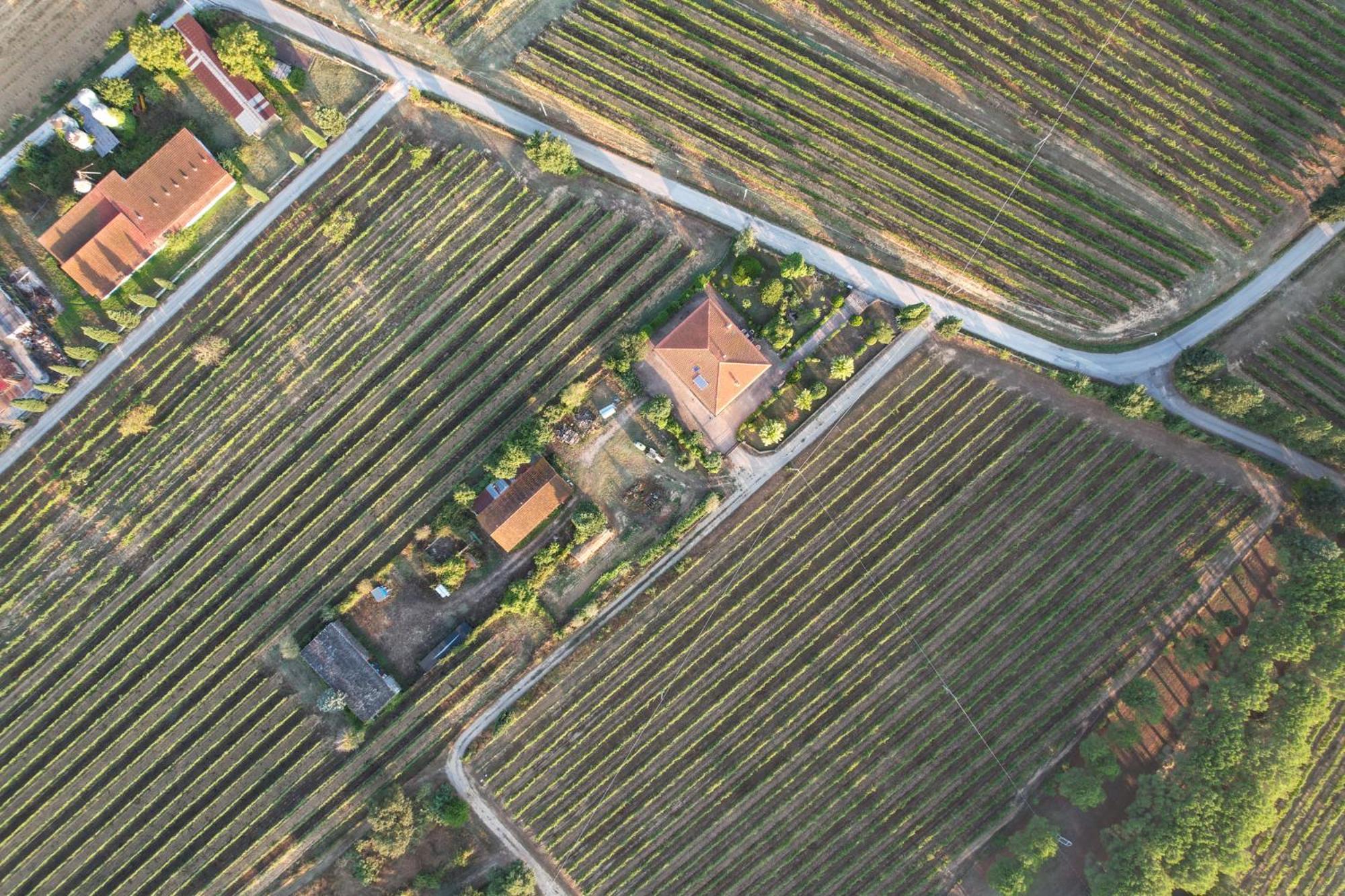 Cappannelle Country House Tuscany Castiglion Fibocchi Esterno foto