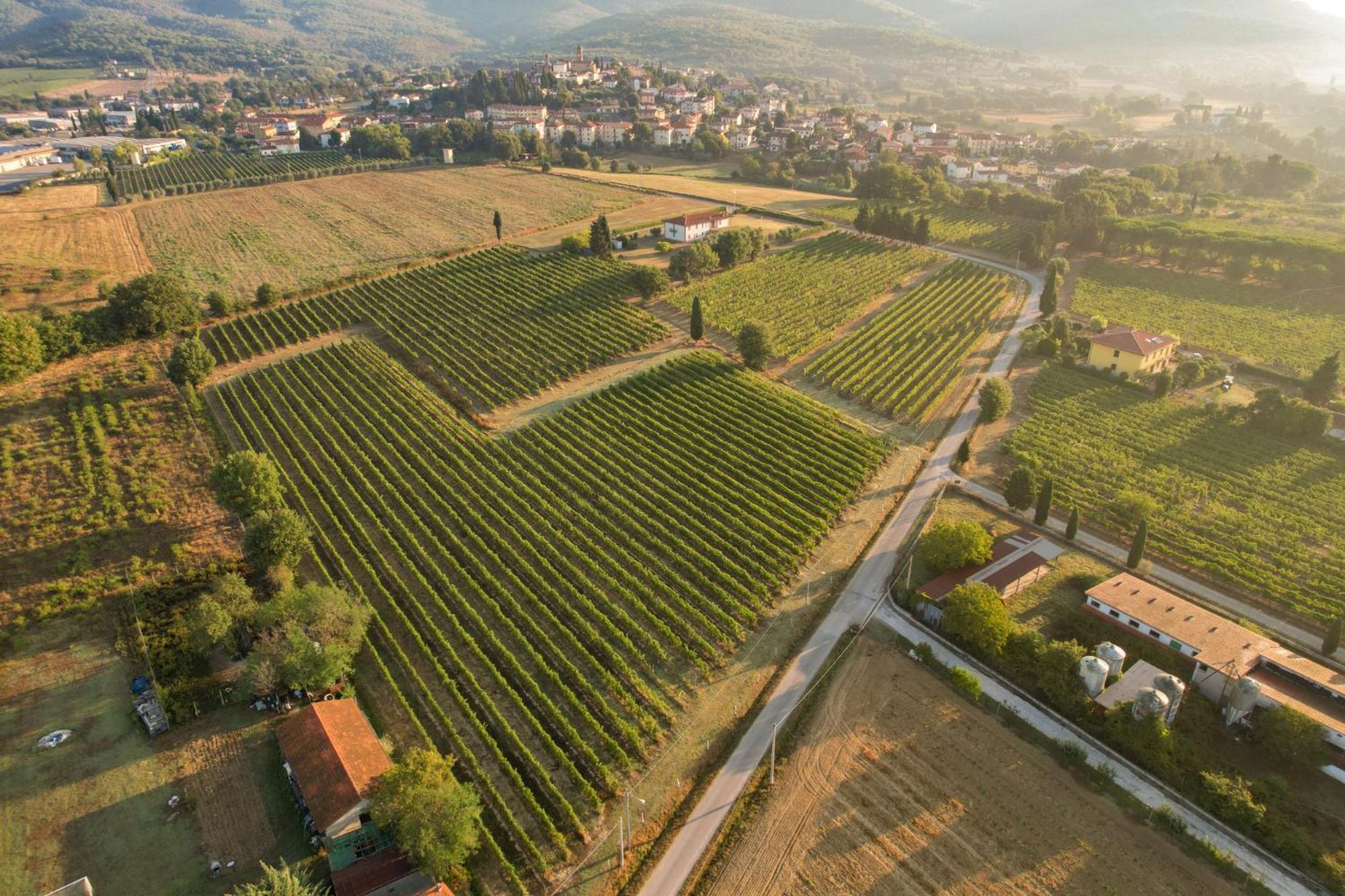 Cappannelle Country House Tuscany Castiglion Fibocchi Esterno foto