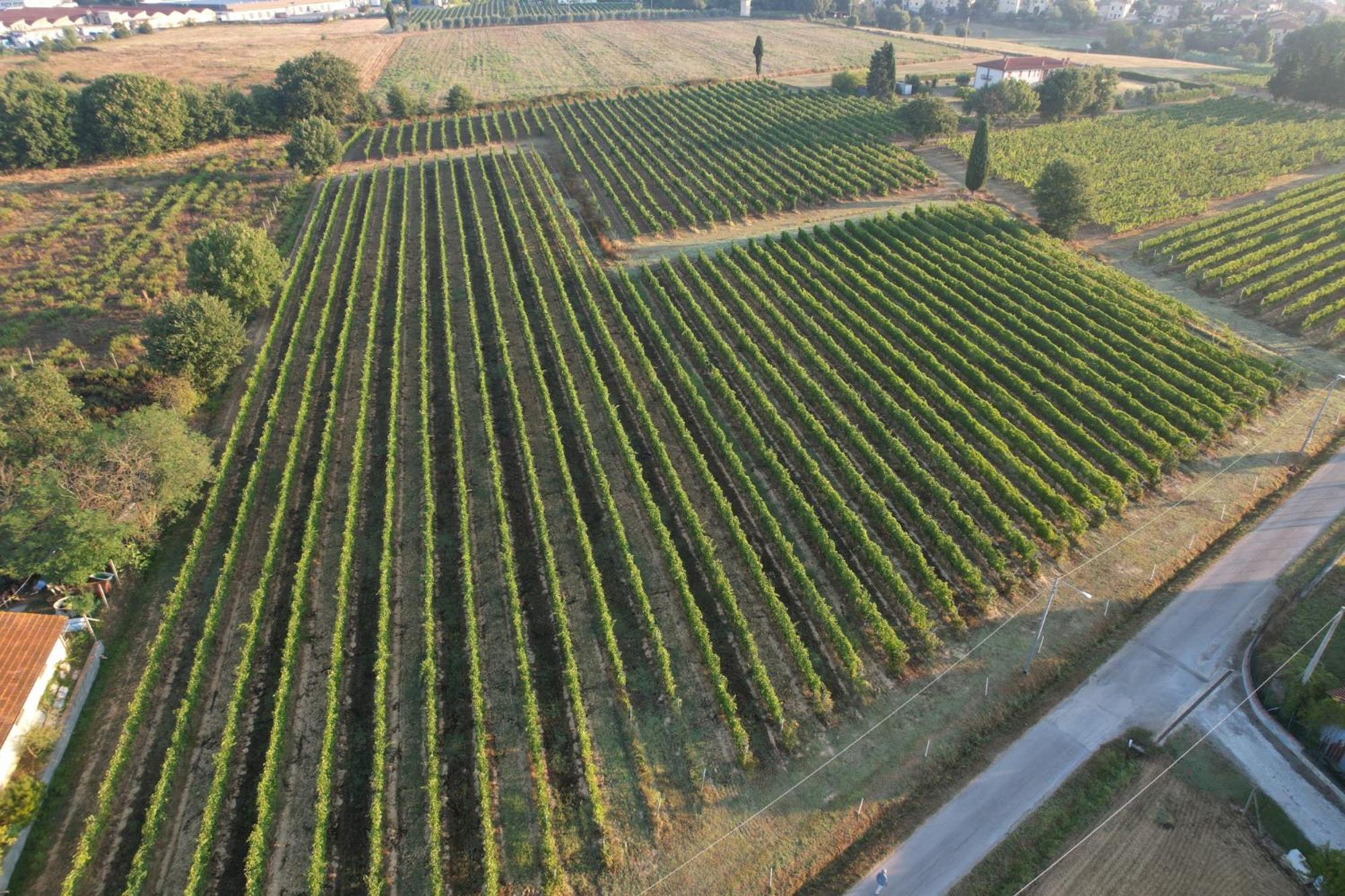 Cappannelle Country House Tuscany Castiglion Fibocchi Esterno foto