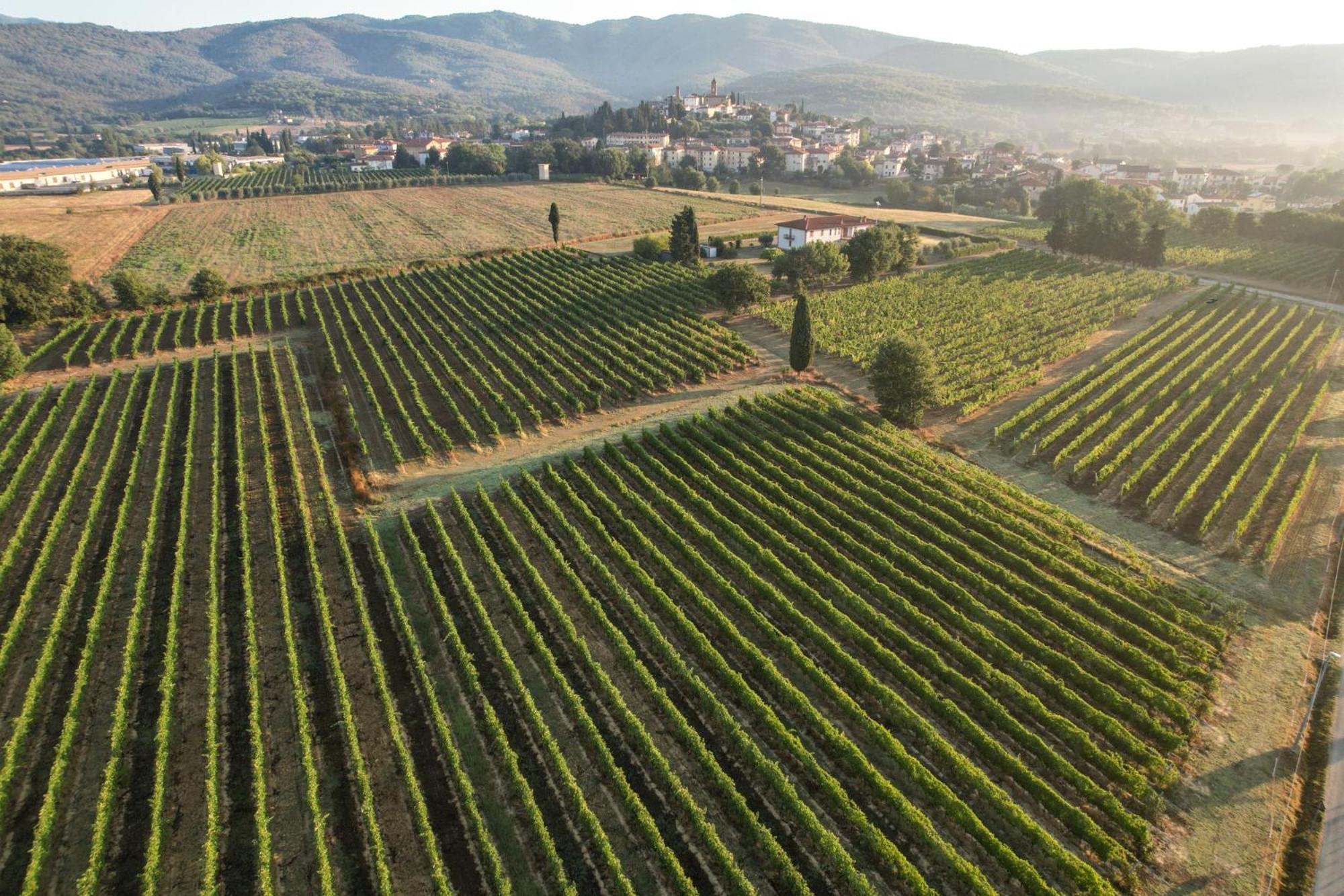 Cappannelle Country House Tuscany Castiglion Fibocchi Esterno foto