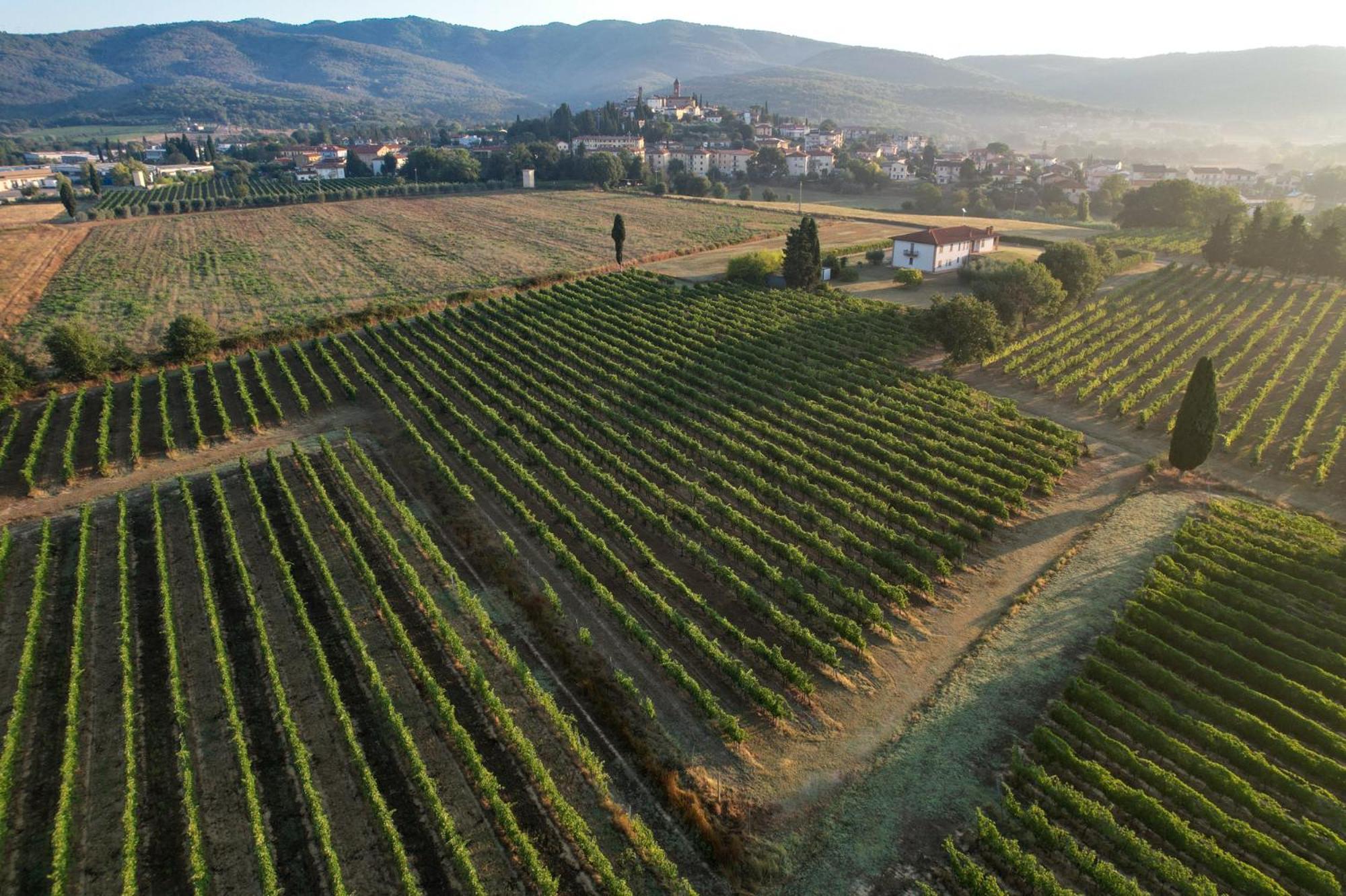 Cappannelle Country House Tuscany Castiglion Fibocchi Esterno foto