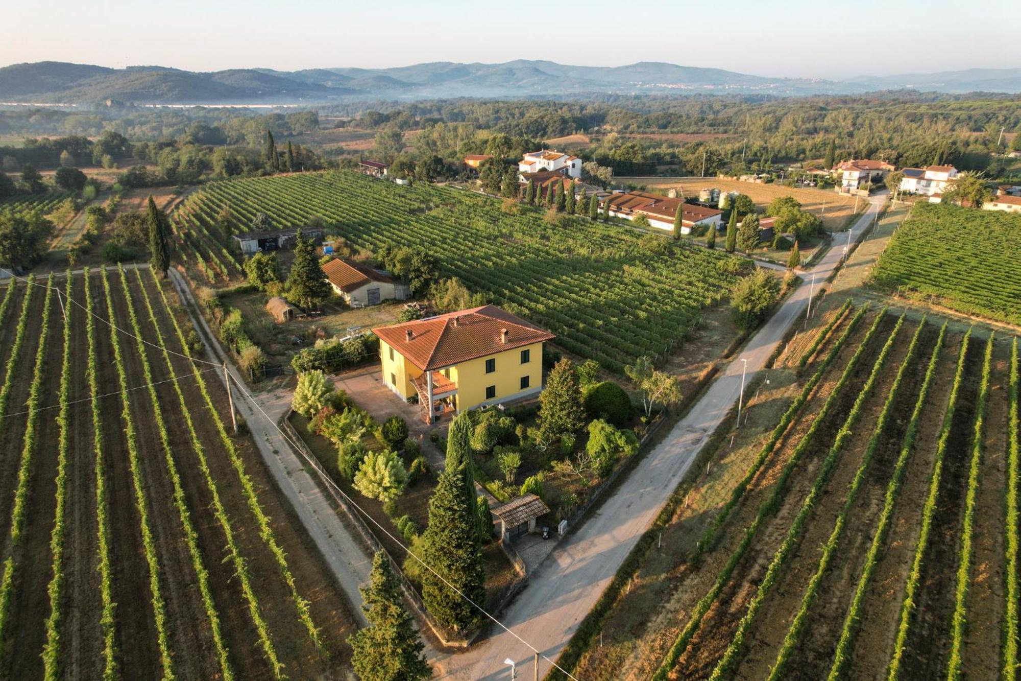 Cappannelle Country House Tuscany Castiglion Fibocchi Esterno foto