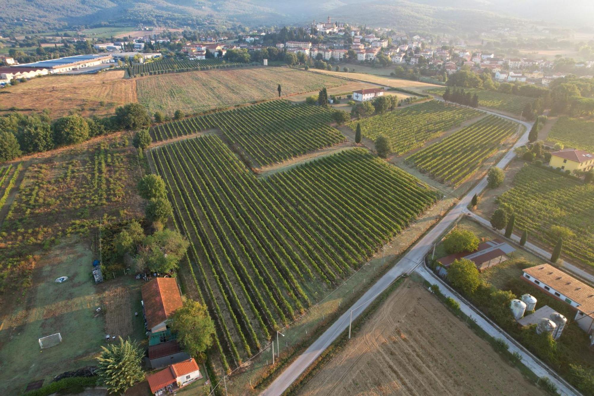 Cappannelle Country House Tuscany Castiglion Fibocchi Esterno foto