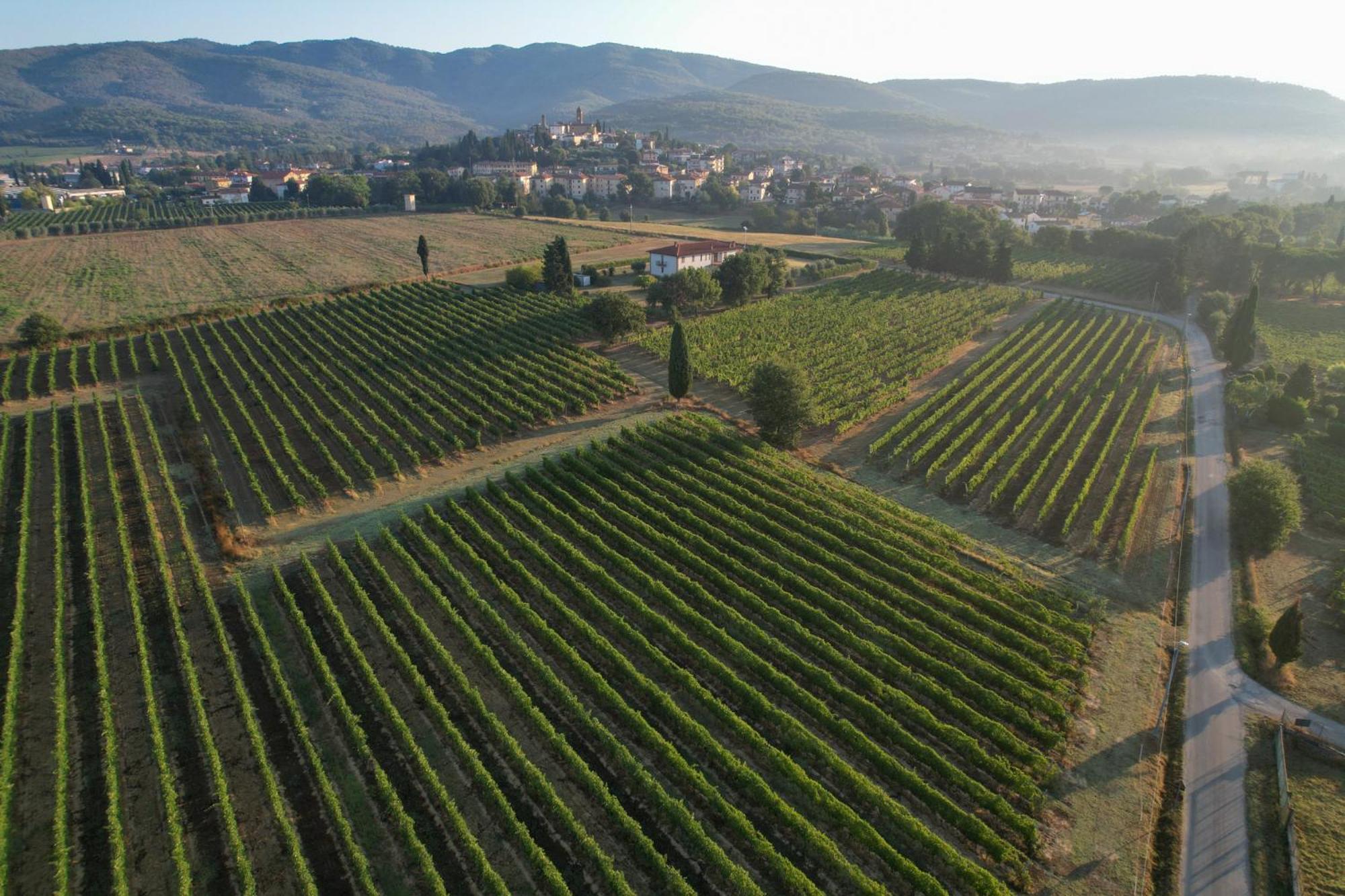 Cappannelle Country House Tuscany Castiglion Fibocchi Esterno foto