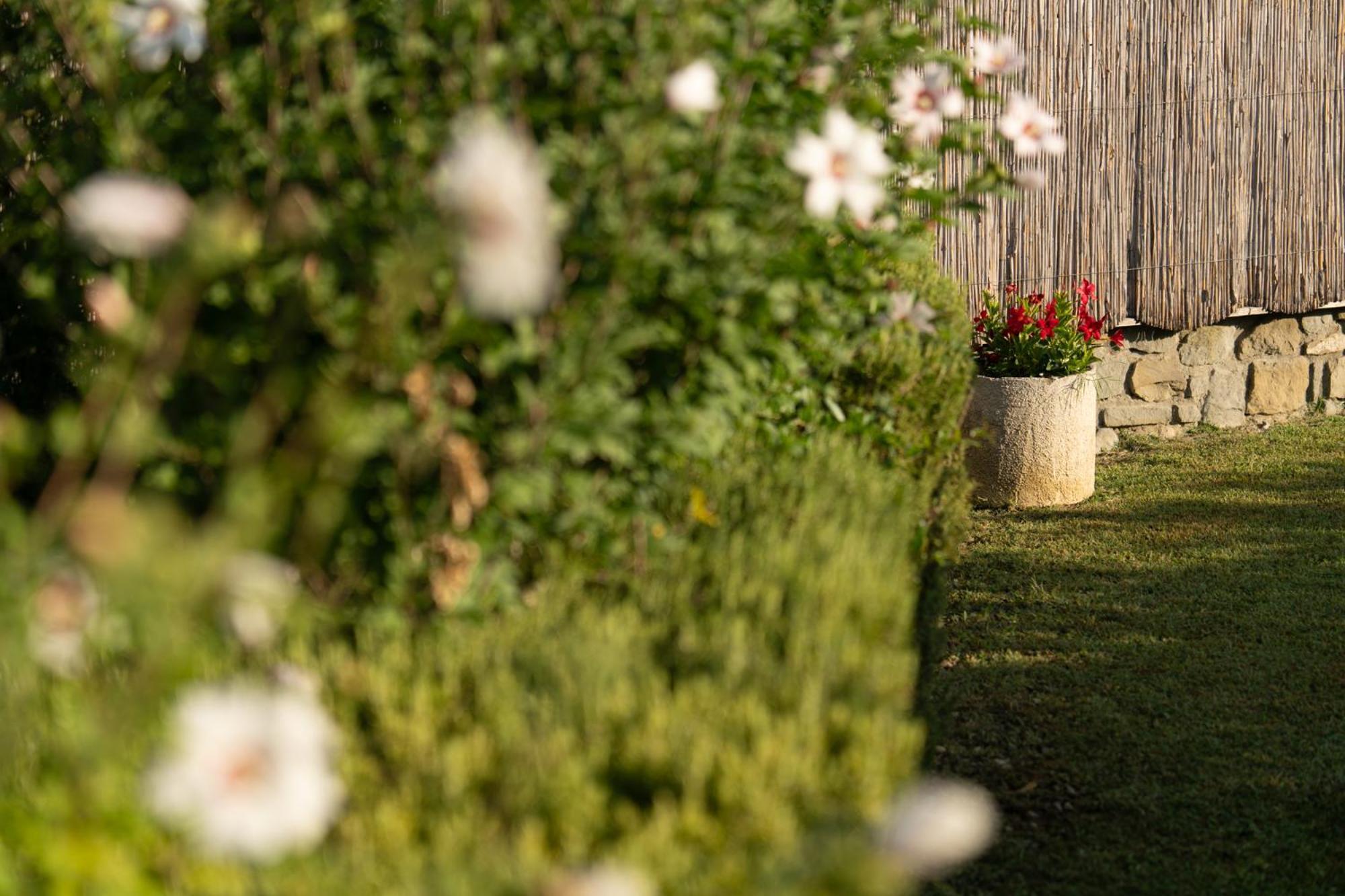 Cappannelle Country House Tuscany Castiglion Fibocchi Esterno foto