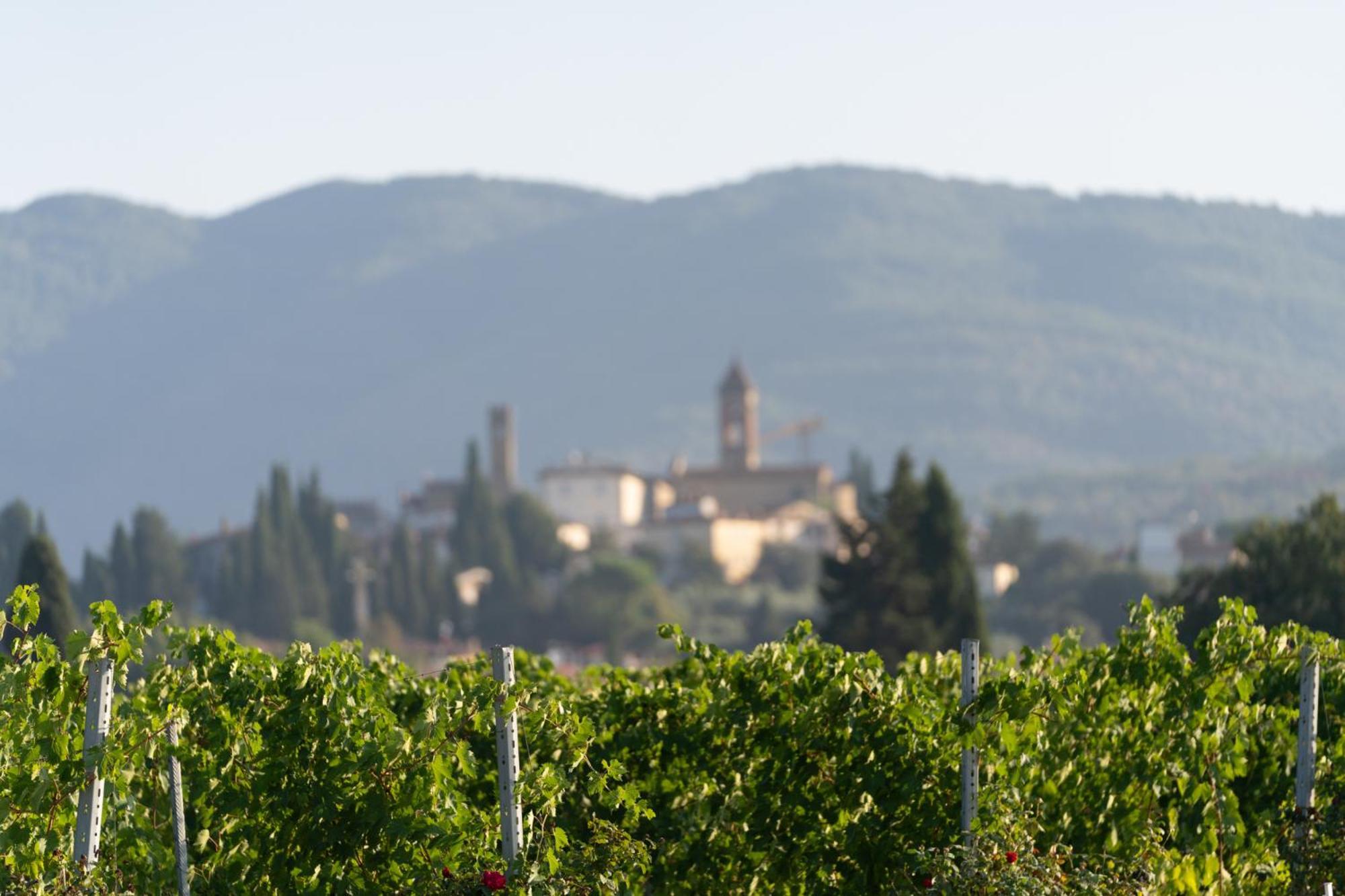 Cappannelle Country House Tuscany Castiglion Fibocchi Esterno foto