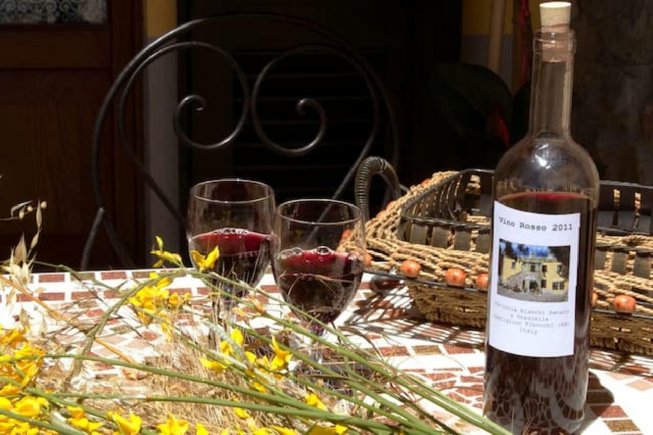 Cappannelle Country House Tuscany Castiglion Fibocchi Esterno foto