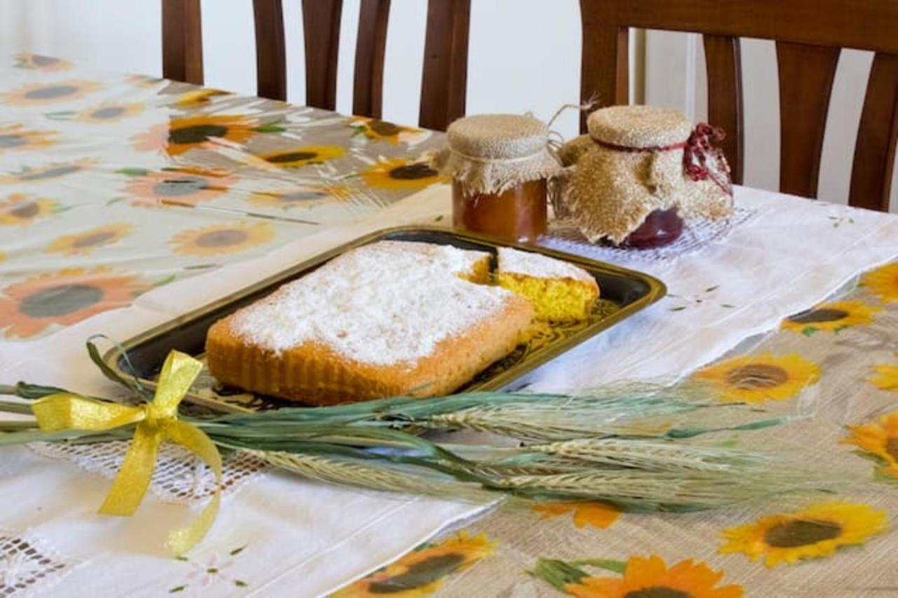 Cappannelle Country House Tuscany Castiglion Fibocchi Esterno foto
